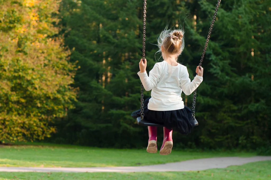 Where Every Swing Sparks a Smile Crafting Playgrounds that Shape a Happy Childhood