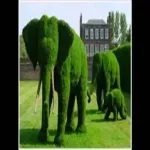 Animal Topiary Frame Manufacturers in Nagpur