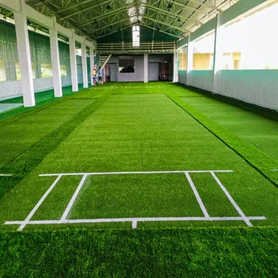 Artificial Cricket Pitch Manufacturers in Nagpur