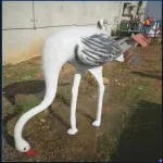 Fibreglass Playground Equipment Manufacturers in Nagpur