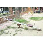 Mild Steel 4 Seater See Saw Manufacturers in Nagpur