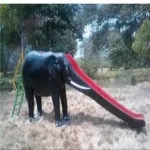 Straight FRP Elephant Design Slide Manufacturers in Nagpur