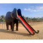 Straight Frp Elephant Slide Manufacturers in Nagpur
