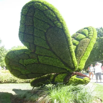 Wire Animal Topiary Frame Manufacturers in Nagpur