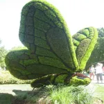 Wire Animal Topiary Frame Manufacturers in Nagpur